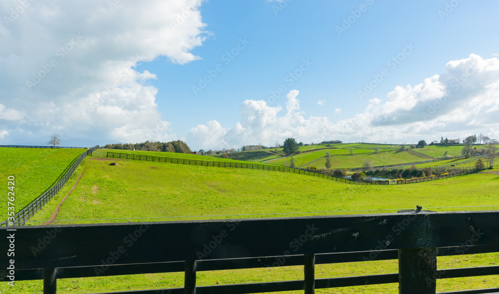 Waikato farmland expansive green fields marked out by dark wooden fences