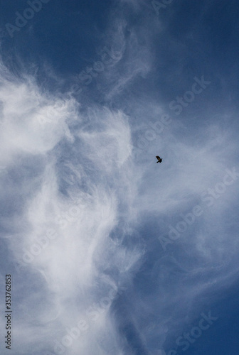 Beautiful clouds in the sky background with texture