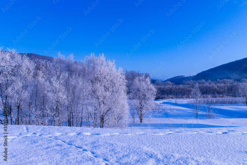 北海道冬の風景 富良野市の樹氷 Stock Photo Adobe Stock
