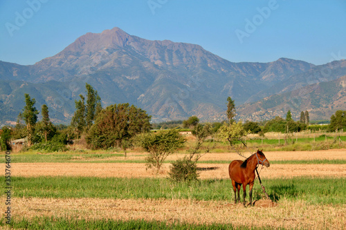 Cerro La Campana - Limache