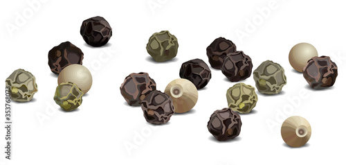 Black and white pepper close up realistic vector illustration