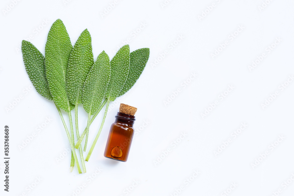 Essential oil with fresh sage leaves on white background. Essential oil with fresh sage leaves on white background.