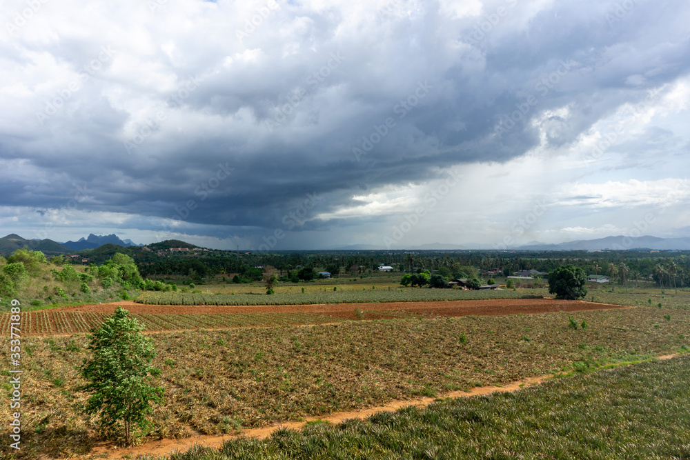 The transition from summer to rainy season Resulting in strong gusts and agricultural products may be damaged.