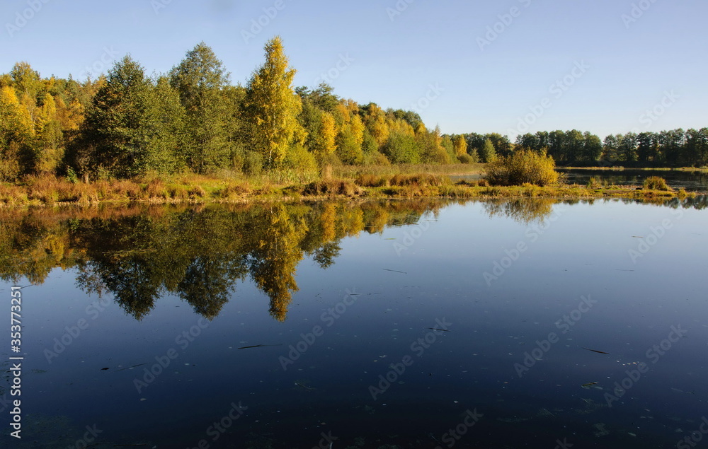 Fototapeta premium Autumn trees are reflected in the water of a forest lake on a Sunny morning. Moscow region. Russia.