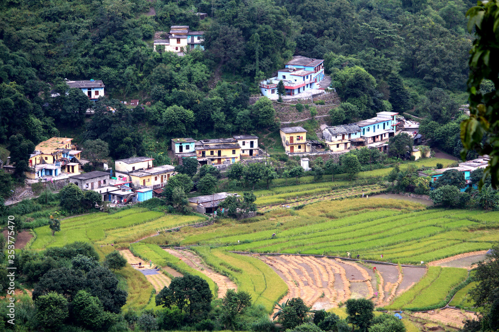 The houses of farmers and the farming fields in the Himalayas, Neelkanth, Uttarakhand, India, 10th October, 2019