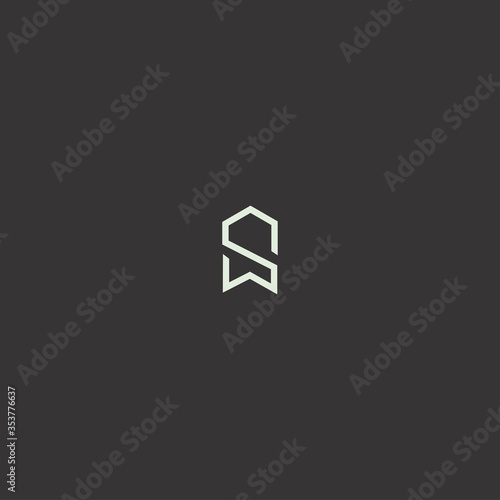 Letter SW logo icon template design in Vector illustration