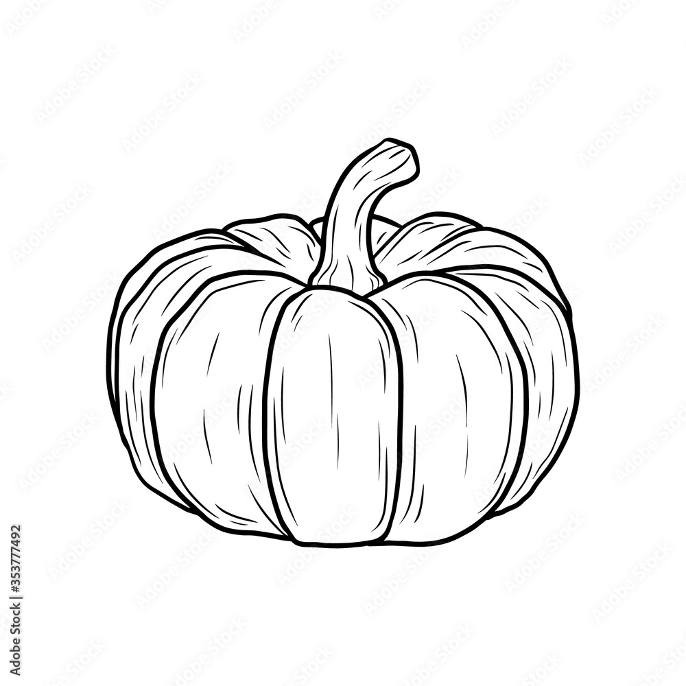 Vector hand drawn pumpkin in black and white. Food sketch illustration for print, web, mobile and infographics isolated on white background.