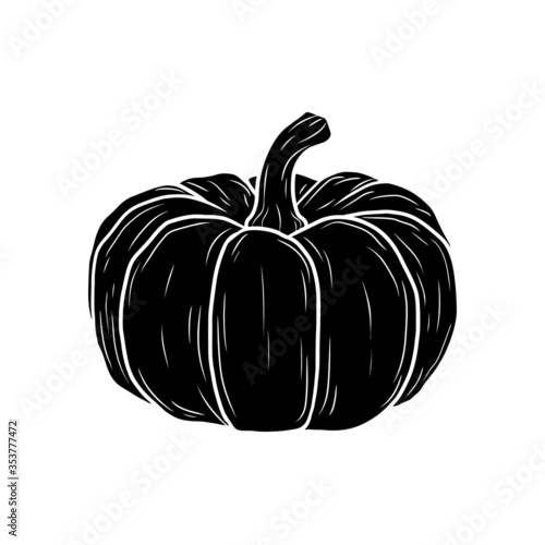 Vector pumpkin in black and white. Food sketch illustration for print, web, mobile and infographics isolated on white background.