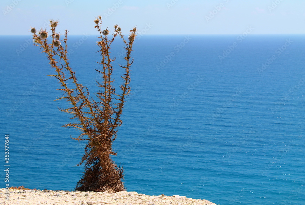 Cyprus. Culture Of Cyprus. Sights and nature of Cyprus. Cyprus. Culture Of Cyprus. Sights and nature of Cyprus.