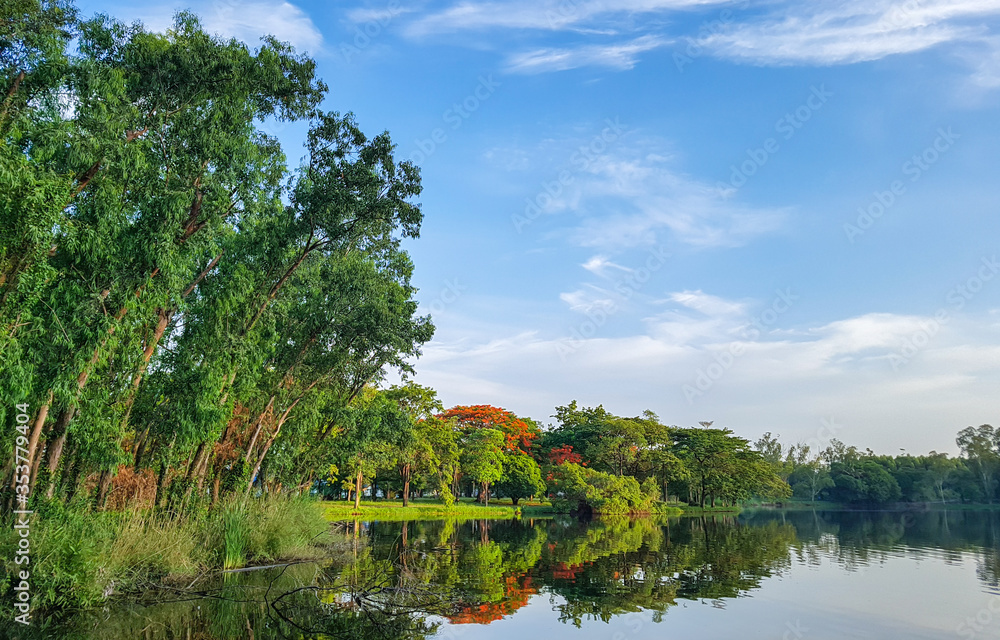 Fototapeta premium lake and trees
