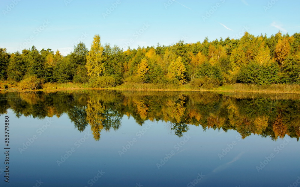 Autumn trees are reflected in the water of a forest lake on a Sunny morning. Moscow region. Russia.