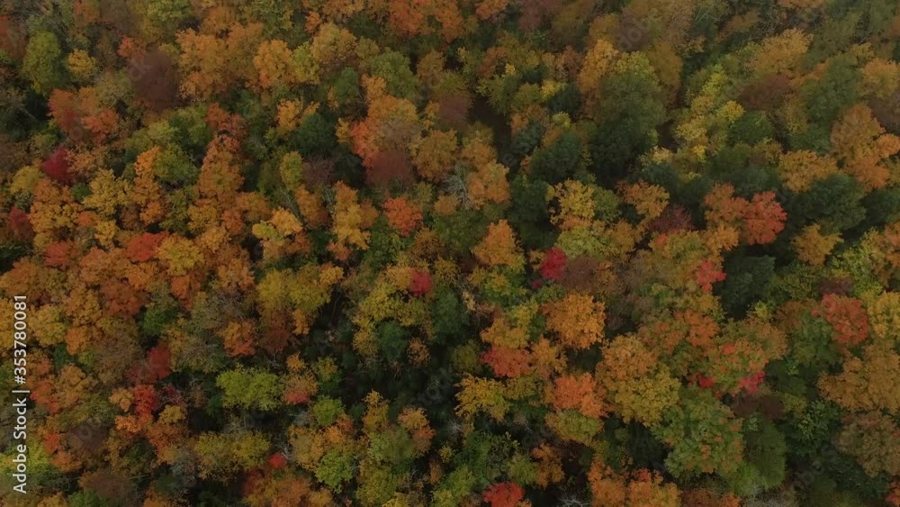 custom made wallpaper toronto digitalNew England Fall Foliage Drone 4K