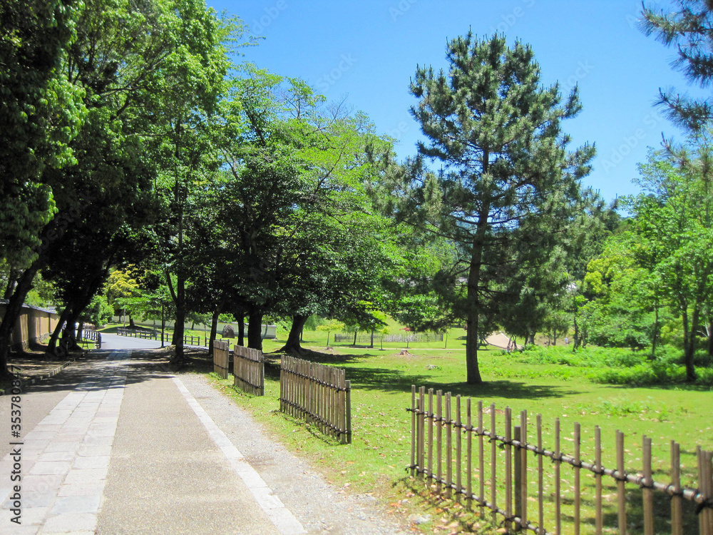 公園 公園