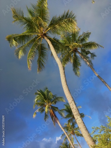 Maldives. The beauty of the Maldives Islands. Nature of the Maldives.