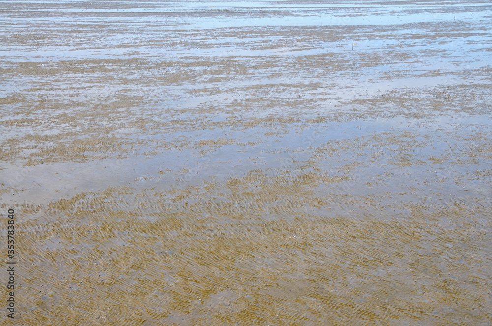Mudflats at Low Tide on a Fine Day Mudflats at Low Tide on a Fine Day