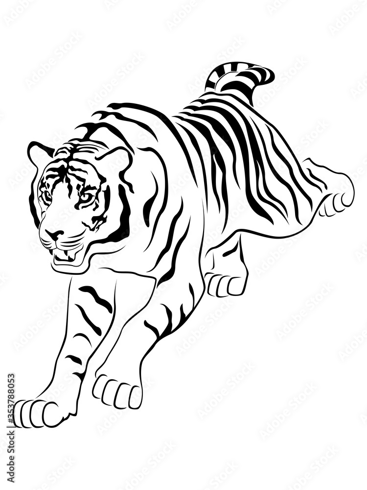 Aggressive tiger on hunting Aggressive tiger on hunting