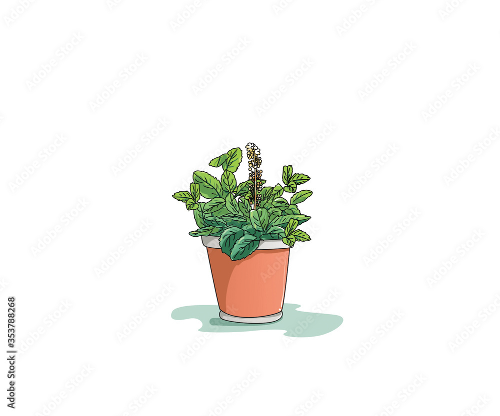 flower pot flower pot