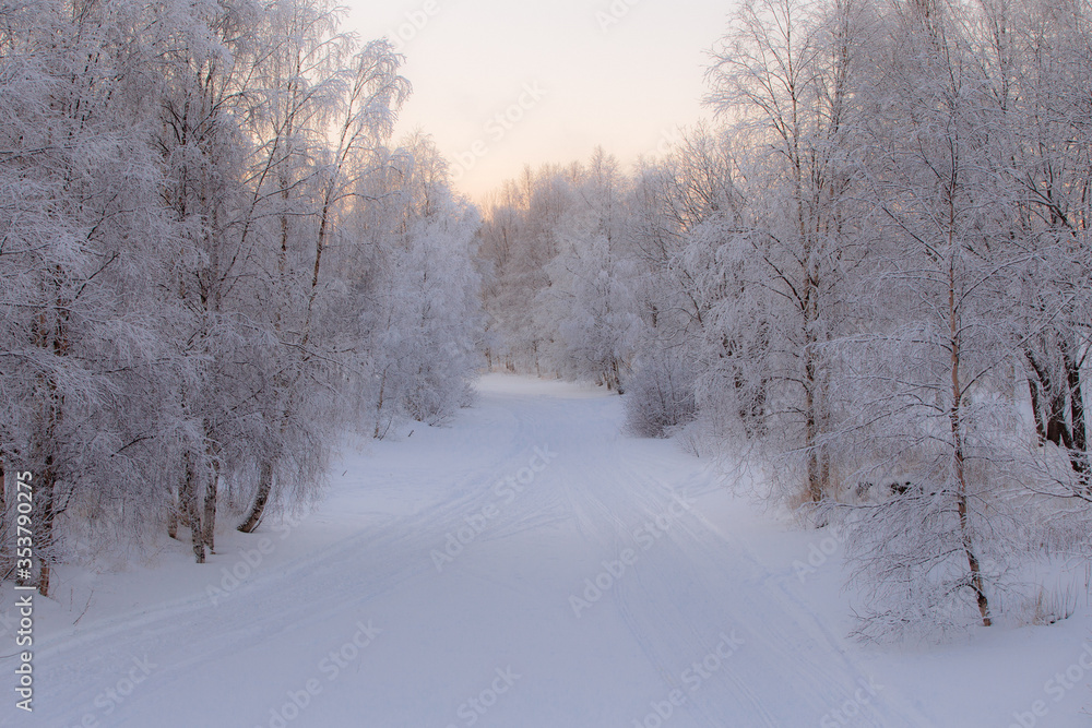 Snowy Lapland