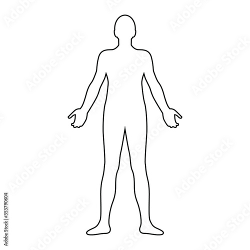Human body line drawing, vector illustration