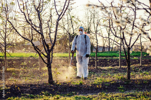 Fruit grower in protective suit and mask walking trough orchard with pollinator machine on his backs and spraying trees with pesticides.
