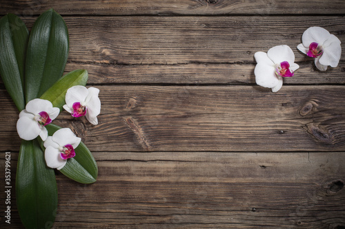 beautiful orchids on old wooden background