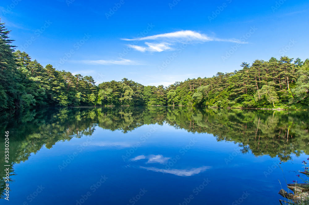 A peaceful pond featuring mirror reflection on a clear day in Goshiki-numa (literally five-colour pond) in Bandai Kogen, Fukushima, Japan