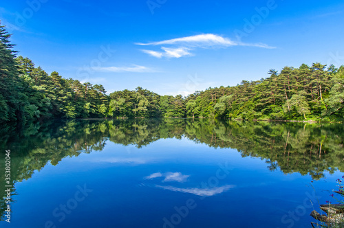 A peaceful pond featuring mirror reflection on a clear day in Goshiki-numa  literally five-colour pond  in Bandai Kogen  Fukushima  Japan