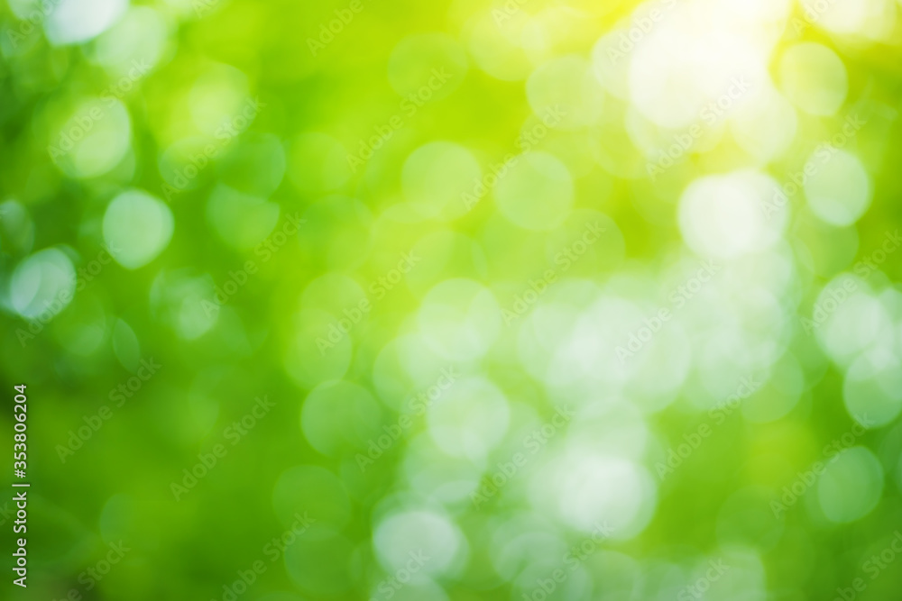 Bokeh foliage background. Bokeh foliage background.