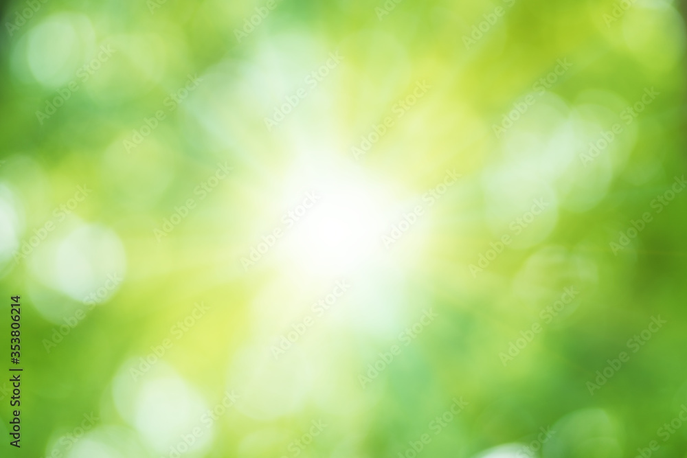 Obraz premium Bokeh foliage shine background.