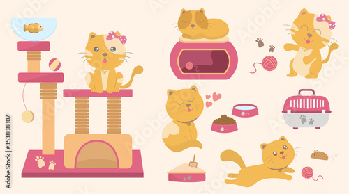 Cute kitty cat vector illustration.Cat toys collection.vector illustration flat design style.Pet shop poster design with many accessories