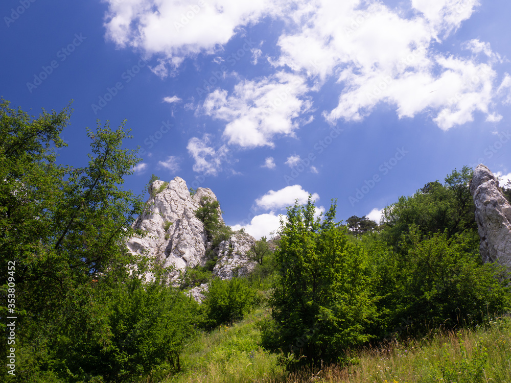 White rock from limestone in Palava, South Moravia, Czech republic
