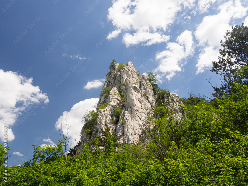 White rock from limestone in Palava, South Moravia, Czech republic