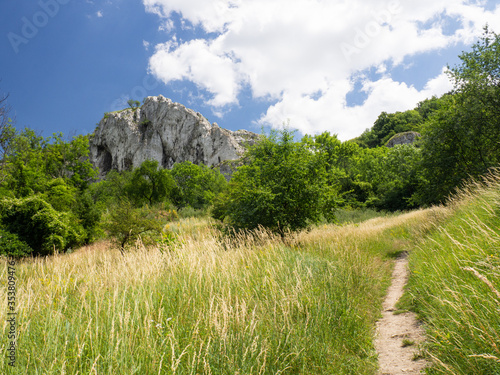 White rock from limestone in Palava, South Moravia, Czech republic