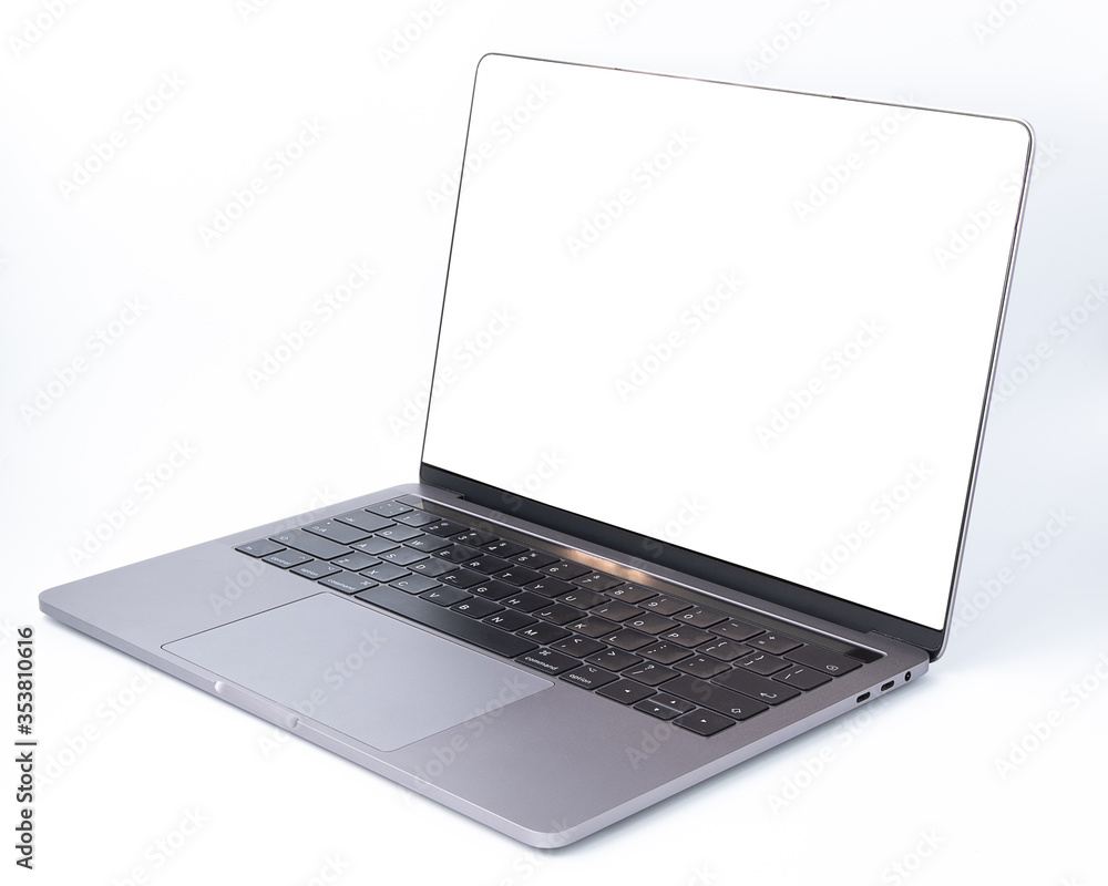 Soft focus of modern laptop with a blank screen, aluminum body material, isolated on white background. Clipping path
Soft focus of modern laptop with a blank screen, aluminum body material, isolated on white background. Clipping path