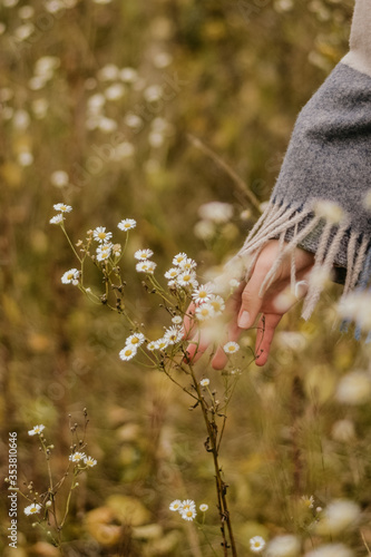 Wallpaper Mural autumn in the forest Torontodigital.ca