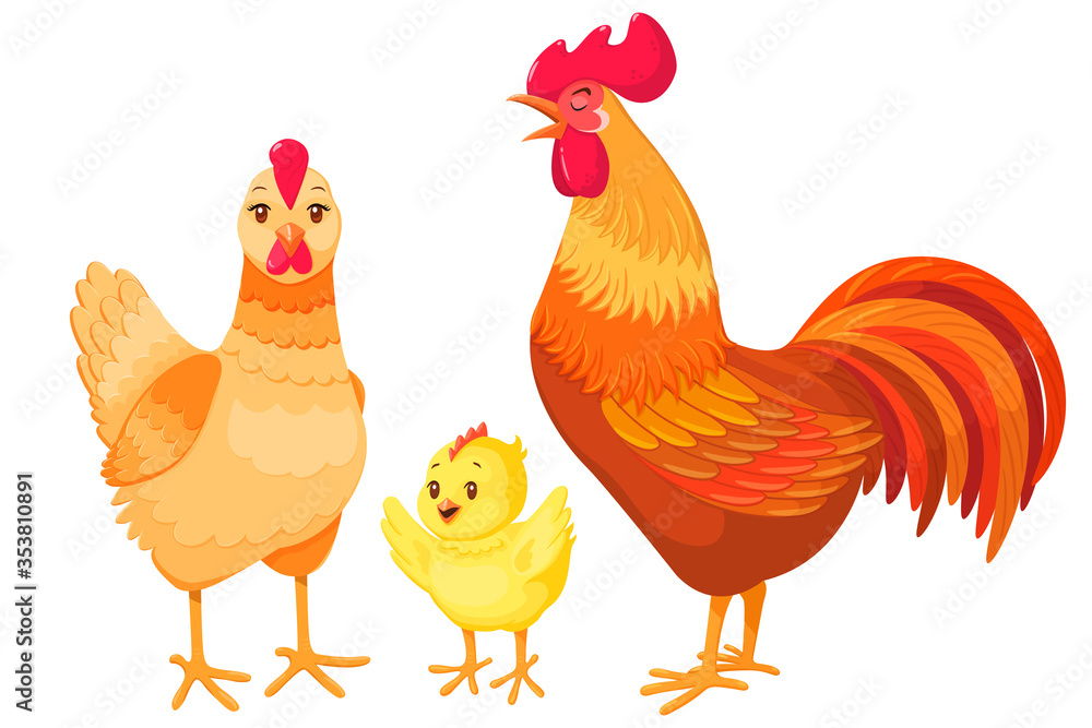 Fototapeta premium Cute cartoon chicken family on white isolated