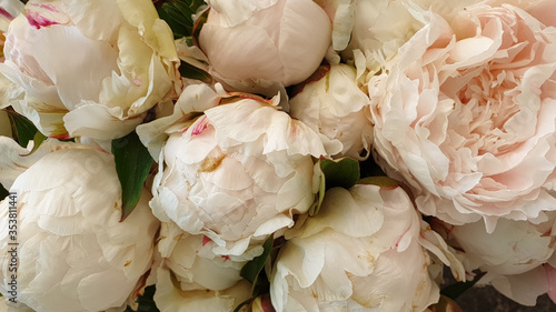 close up of white peony bridal flowers	
