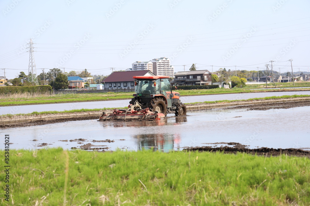 Fototapeta premium 田植え