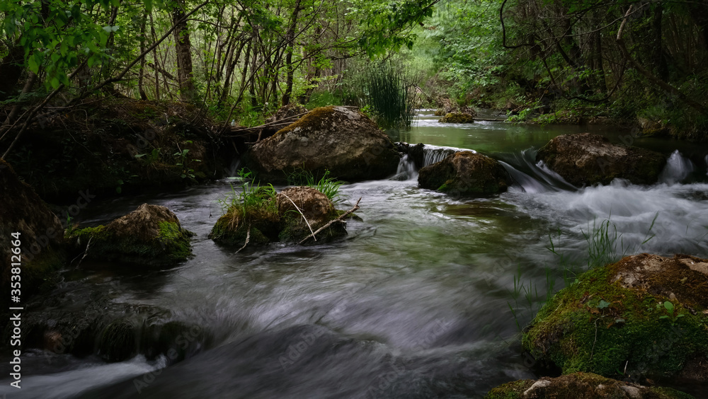 Full-flowing river in a green sunny forest.