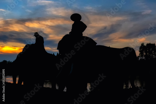 Silhouette picture of local villagers with the elephants. Taken at Surin Province in Thailand. © Jack