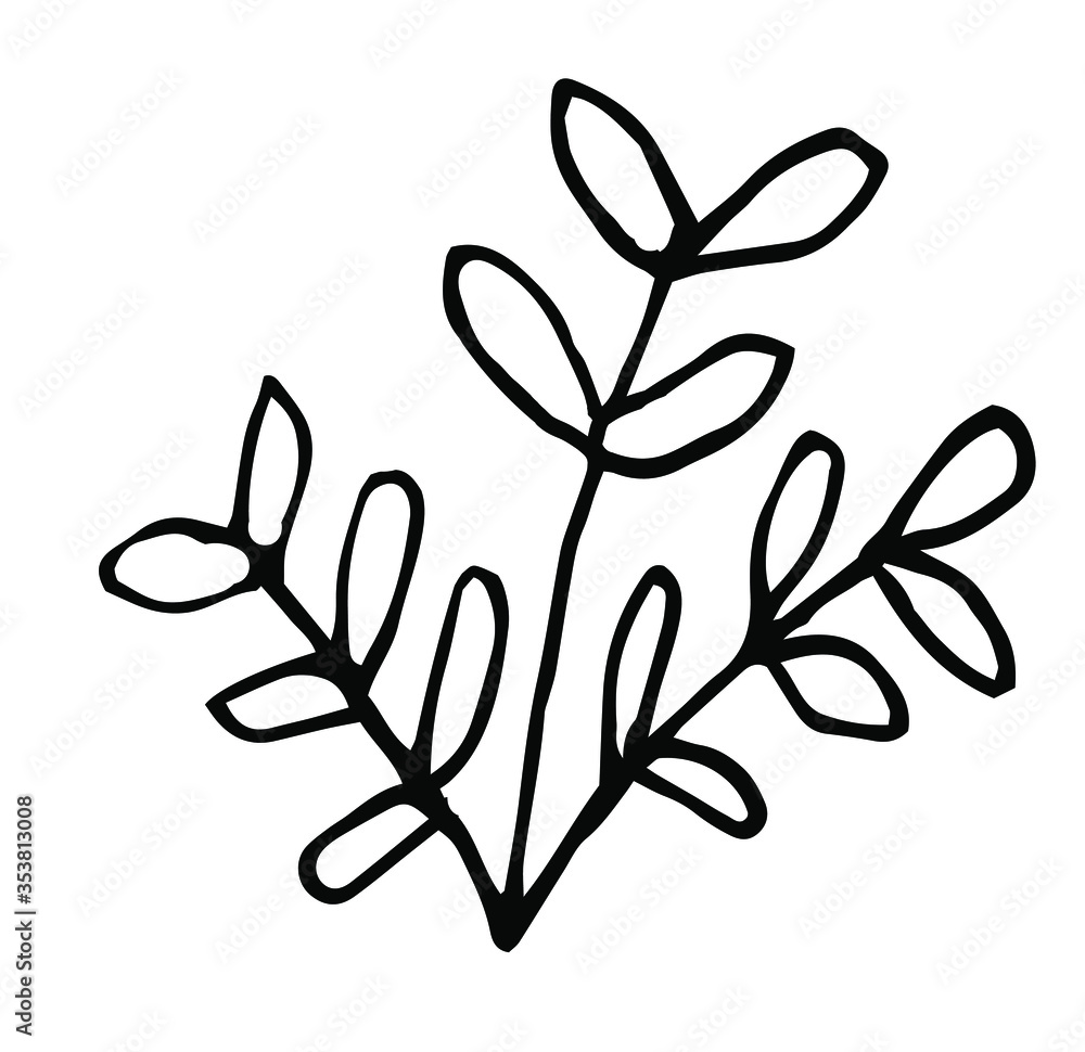 Single hand-drawn branches with leaves for decorating cards, presentations, invitations. Doodle vector illustration. Isolated on white background Single hand-drawn branches with leaves for decorating cards, presentations, invitations. Doodle vector illustration. Isolated on white background