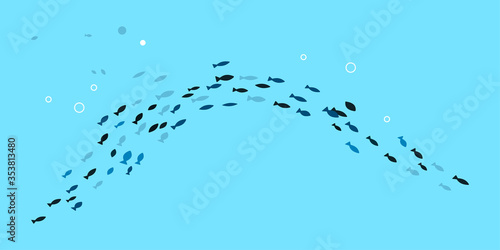 school of fish under water