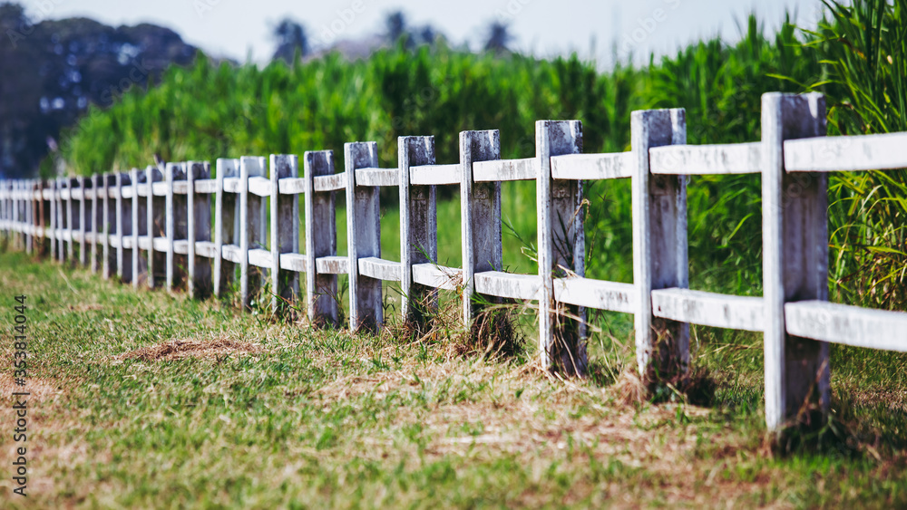 White fence on the grass land field. in dark forest color tone. White fence on the grass land field. in dark forest color tone.