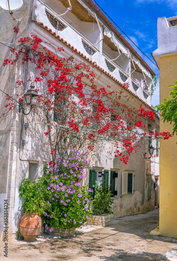 View of narrow street – old town of Greece Island – Paxos – white house and beautiful red and purple flowers