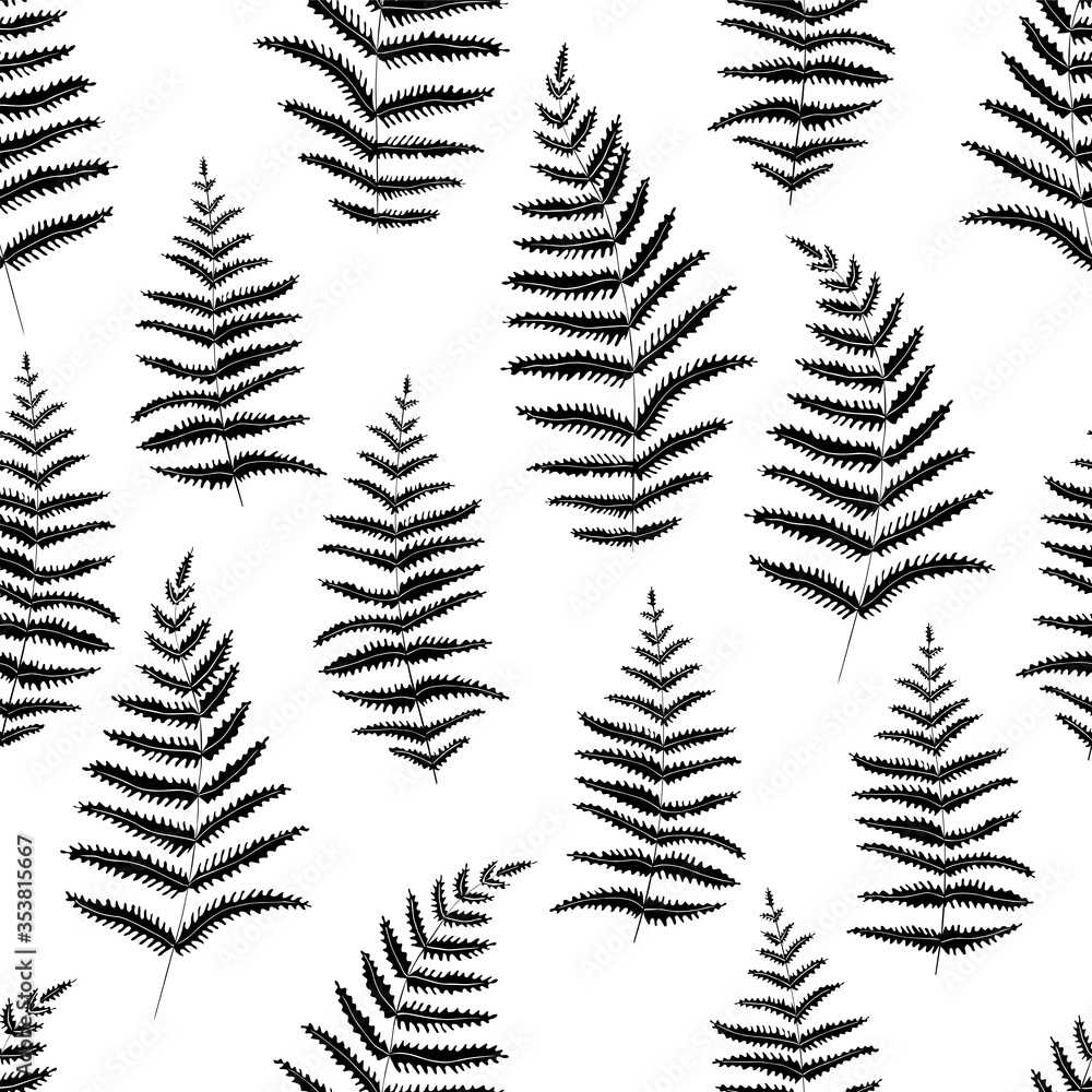 Botanical graphic pattern of black fern leaves on white background. Ideal background for branding, package, fabric and textile, wrapping paper.. Botanical graphic pattern of black fern leaves on white background. Ideal background for branding, package, fabric and textile, wrapping paper..