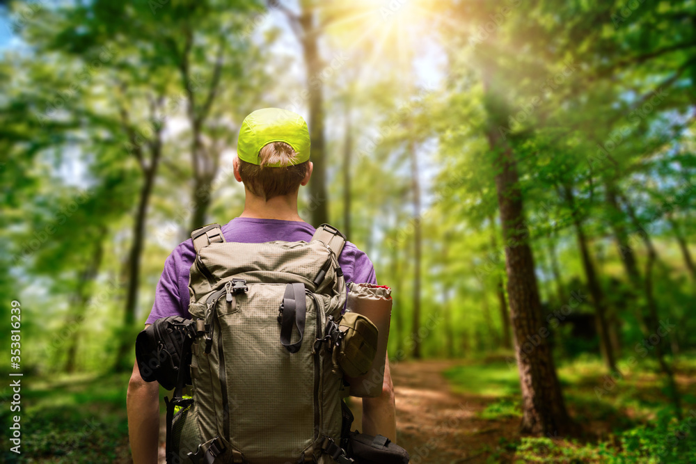 Fototapeta premium Male hiker with a backpack exploring a path in a green forest with the sun shining above, shallow focus