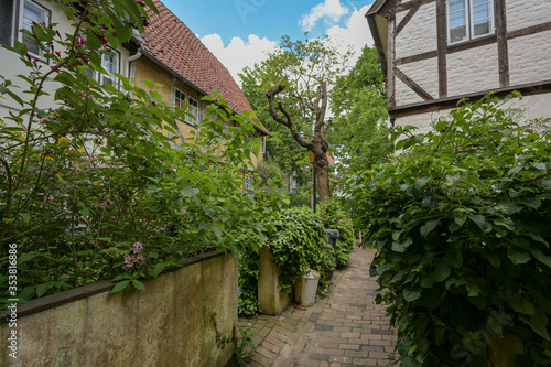 View into a densely planted small residential alley, typical tourist destination in the medieval old town of Luebeck, Germany © Maren Winter