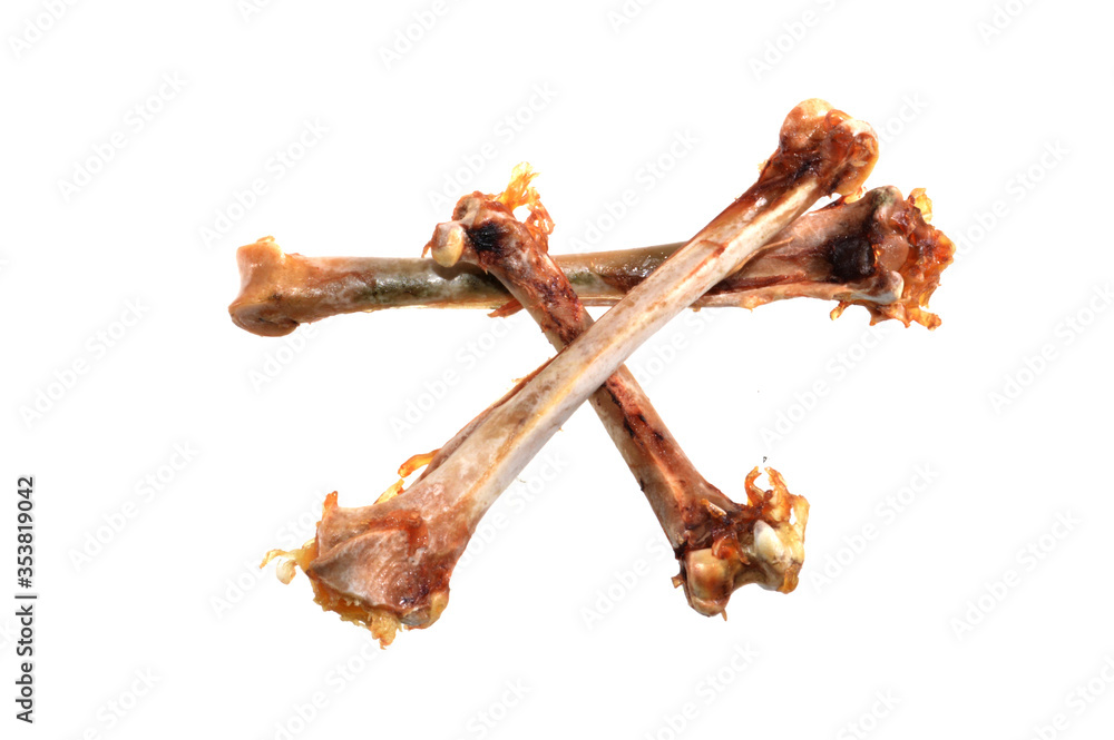 Fototapeta premium chicken bones isolated on white background