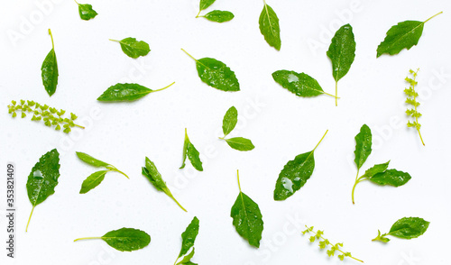 Closeup green fresh basil leaves (Ocimum basilicum) and flower isolated on white background. Herbal medicine plant concept.Top view. Flat lay.

