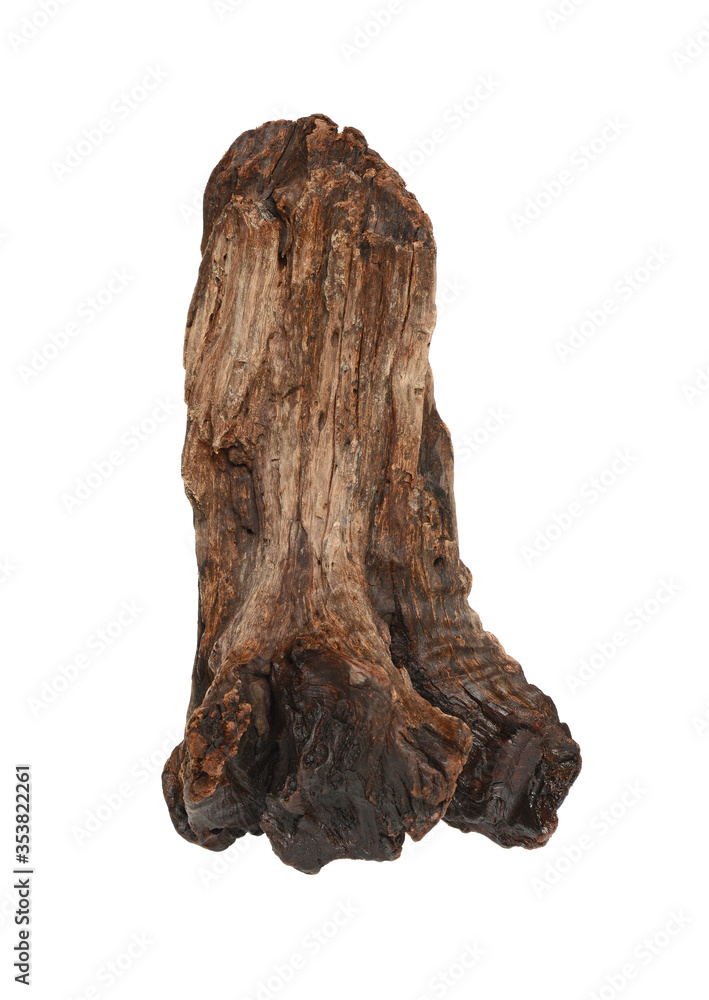 Natural driftwood from mangrove wood Natural driftwood from mangrove wood